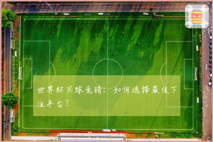 世界杯买球竞猜：如何选择最佳下注平台？