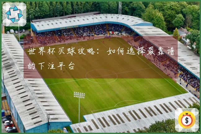 世界杯买球攻略：如何选择最靠谱的下注平台