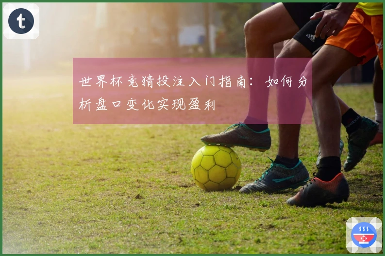 世界杯竞猜投注入门指南：如何分析盘口变化实现盈利