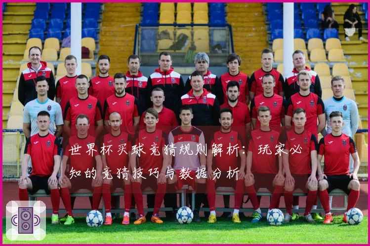 世界杯买球竞猜规则解析：玩家必知的竞猜技巧与数据分析