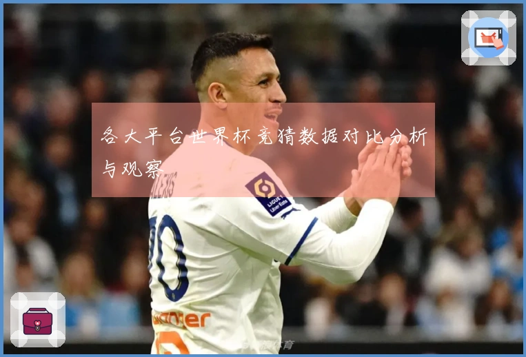 各大平台世界杯竞猜数据对比分析与观察