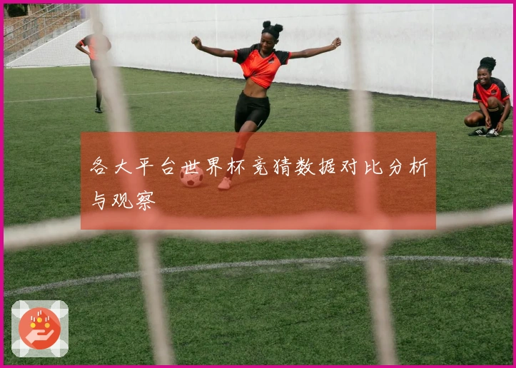 各大平台世界杯竞猜数据对比分析与观察