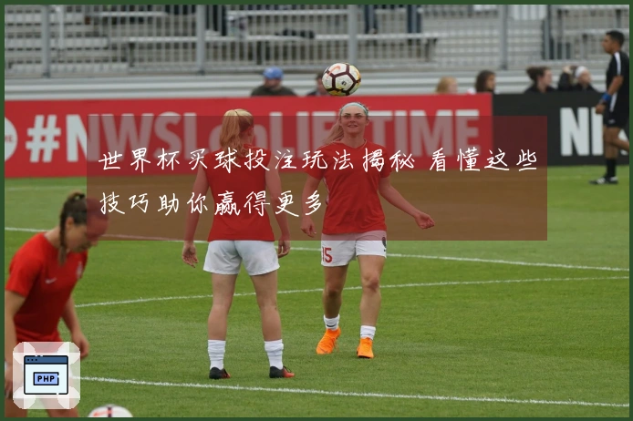 世界杯买球投注玩法揭秘 看懂这些技巧助你赢得更多