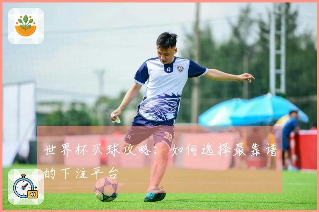世界杯买球攻略：如何选择最靠谱的下注平台