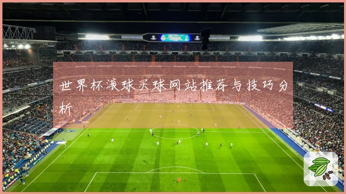 世界杯滚球买球网站推荐与技巧分析